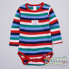 Боди