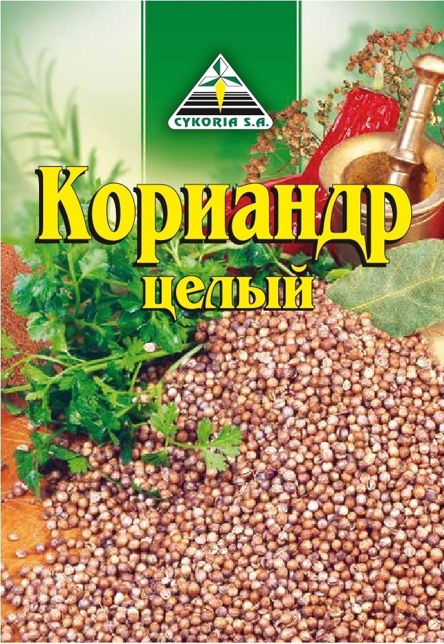 Как Выглядит Кориандр Фото