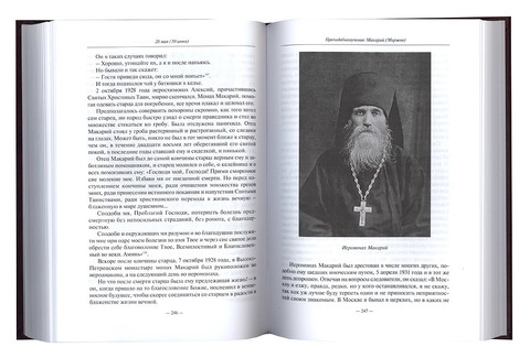 Записки монаха книга. Дамаскин Орловский жития новомучеников. Дамаскин Орловский жития новомучеников и исповедников российских. Записки монаха-исповедника монах. Жития новомучеников и исповедников российских ХХ века.