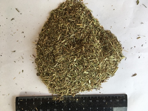 Трава 1. Смесь прованских трав. Полевая травка предложение. Алтей трава фото. Как выглядят семена репешка.