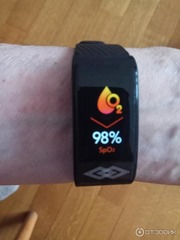 health band что за фирма
