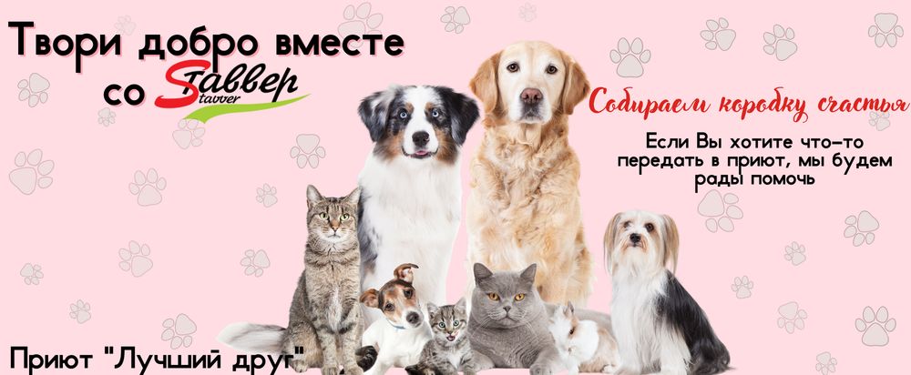 Ставвер Ставрополь Адреса Магазинов Ставвер Ставрополь Адреса Магазинов